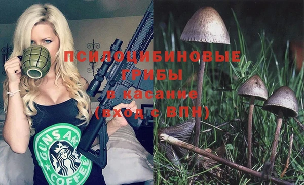ECSTASY Белокуриха