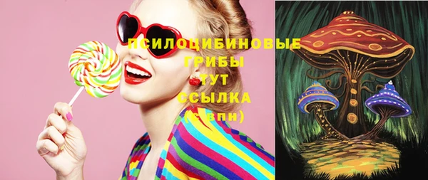 ECSTASY Белокуриха